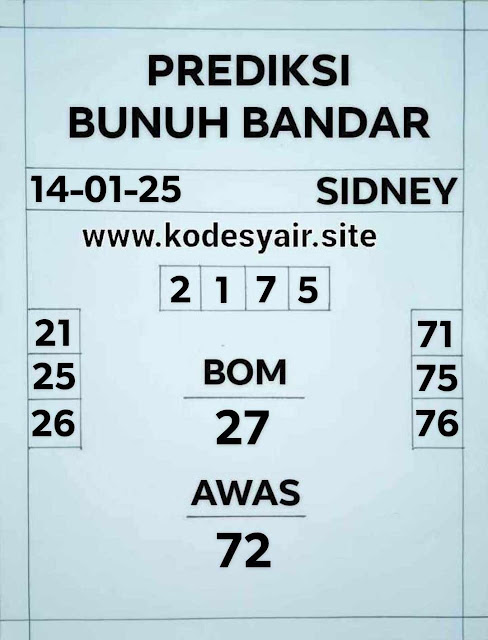 SYAIR SDY VIP